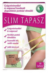 Obrázok pre Dr.Chen Slim plasture (10buc)