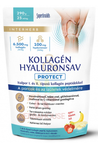 Obrázok pre Interherb Protect Pudră de colagen și acid hialuronic cu îndulcitor - căpșuni și banane (290g)