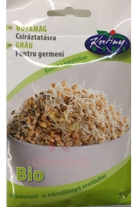 Obrázok pre Rédei Kertimag Bio Semințe de grâu pentru germinare (50g)