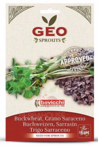 Obrázok pre Geo Bavicchi Bio Semințe de hrișcă pentru incoltire (90g)