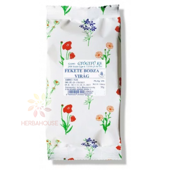 Obrázok pre Gyógyfű Ceai negru din flori de soc (30g)