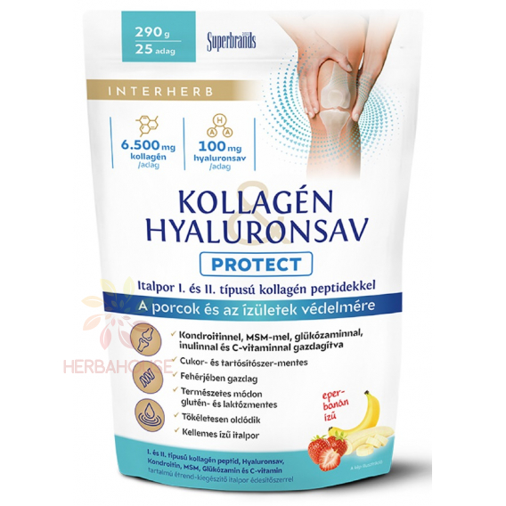 Obrázok pre Interherb Protect Pudră de colagen și acid hialuronic cu îndulcitor - căpșuni și banane (290g)