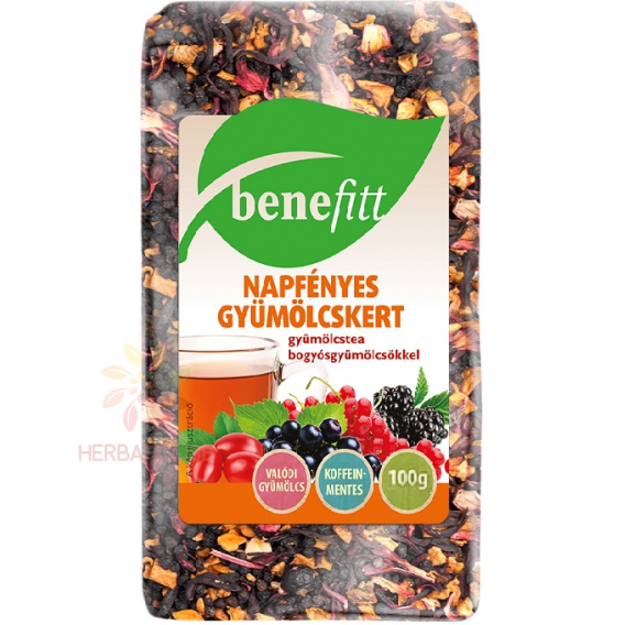 Obrázok pre Benefitt Livadă însorită Ceai de fructe cu fructe de pădure, vrac (100g)
