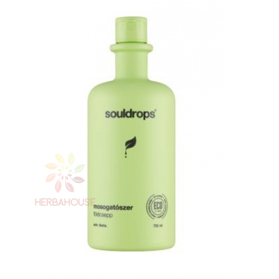 Obrázok pre Souldrops Detergent ecologic - Earthdrop (750ml)