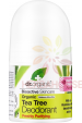 Obrázok pre Dr.Organic Deodorant natural cu Tea Tree fără săruri de aluminiu și alcool (50ml)
